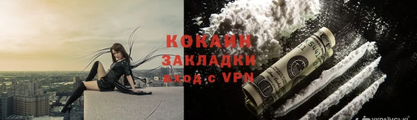 стаф Магас