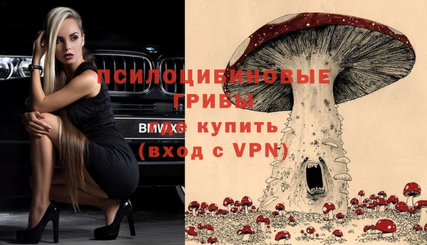 каннабис Майский