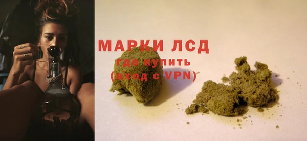 стаф Магас