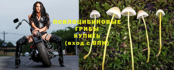 каннабис Майский