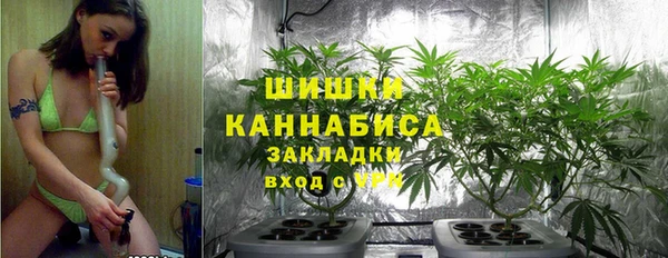 каннабис Майский