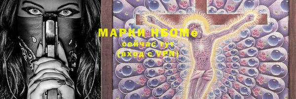 стаф Магас