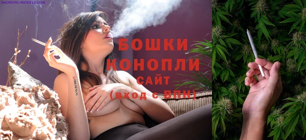 стаф Магас