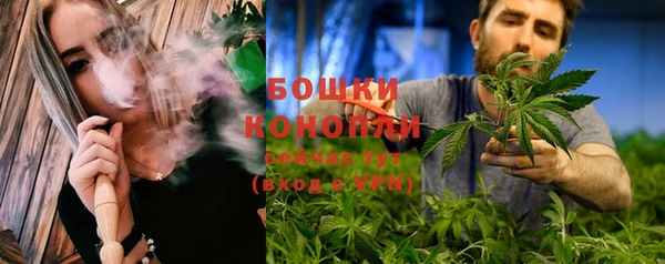 стаф Магас