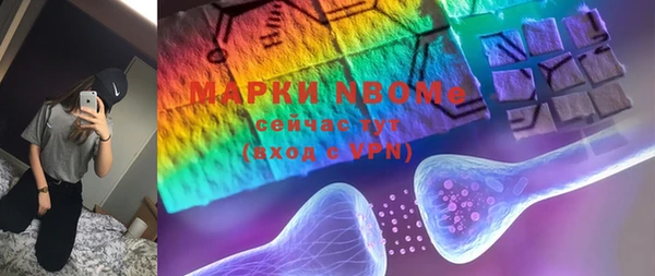 стаф Магас