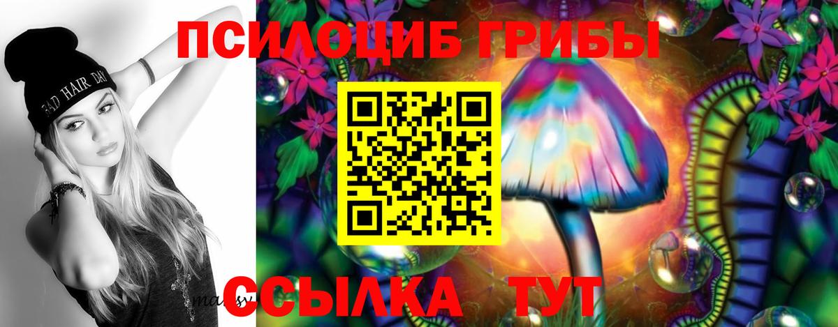 Псилоцибиновые грибы Psilocybe Моршанск