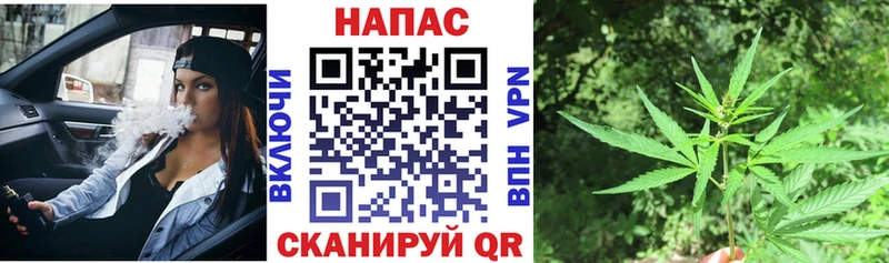 где купить наркоту Моршанск Шишки марихуана конопля